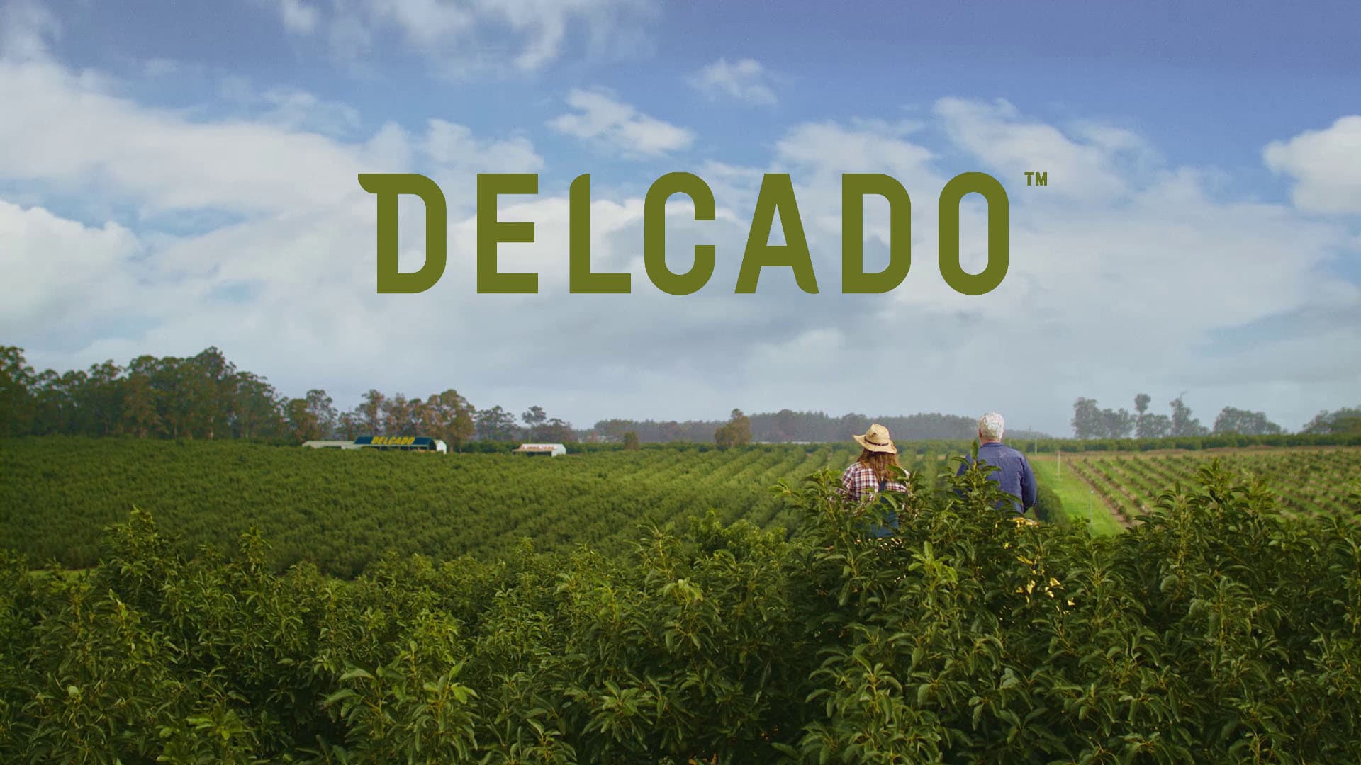 The Better Avocado (2020)