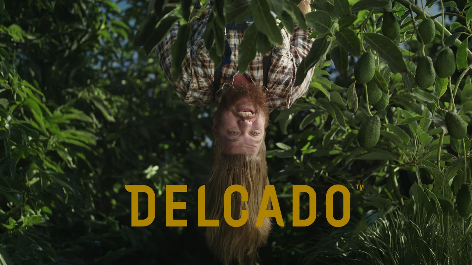 The Better Avocado (2021)