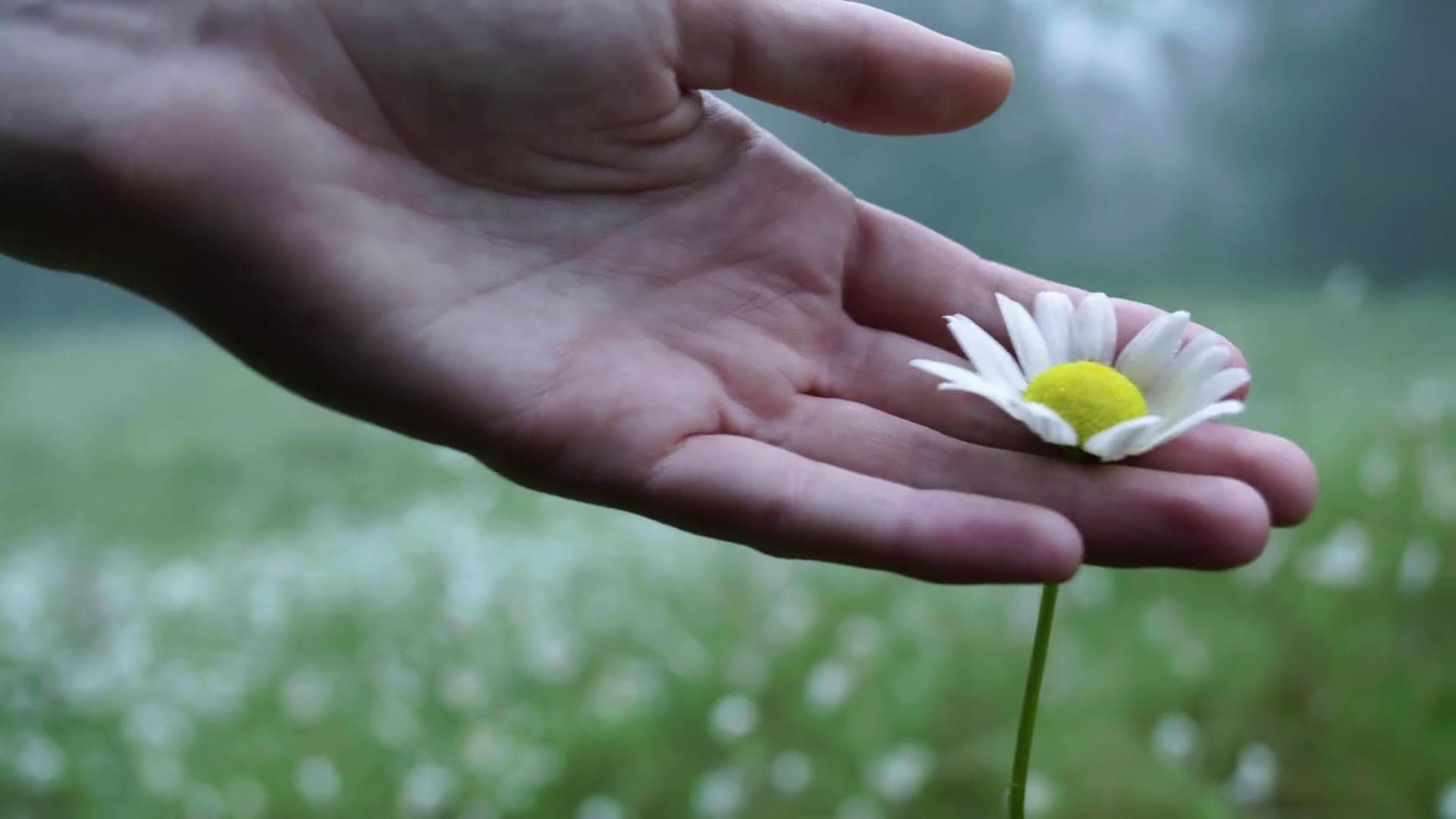 Artistry & Sustainability